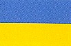 Ukraine - (3' x 5') -